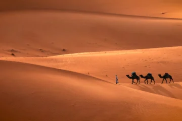 Tangier to Sahara Desert Tour - Camel Trek